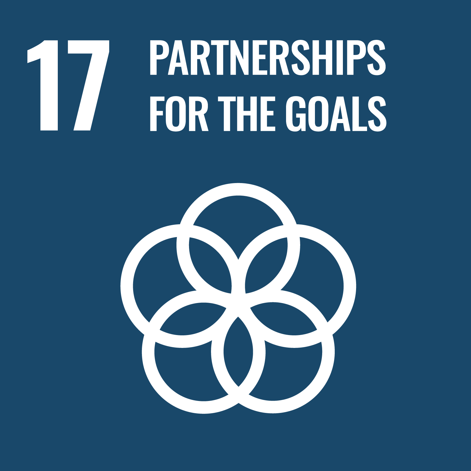 Text in image reads 'partnerships for the goals'