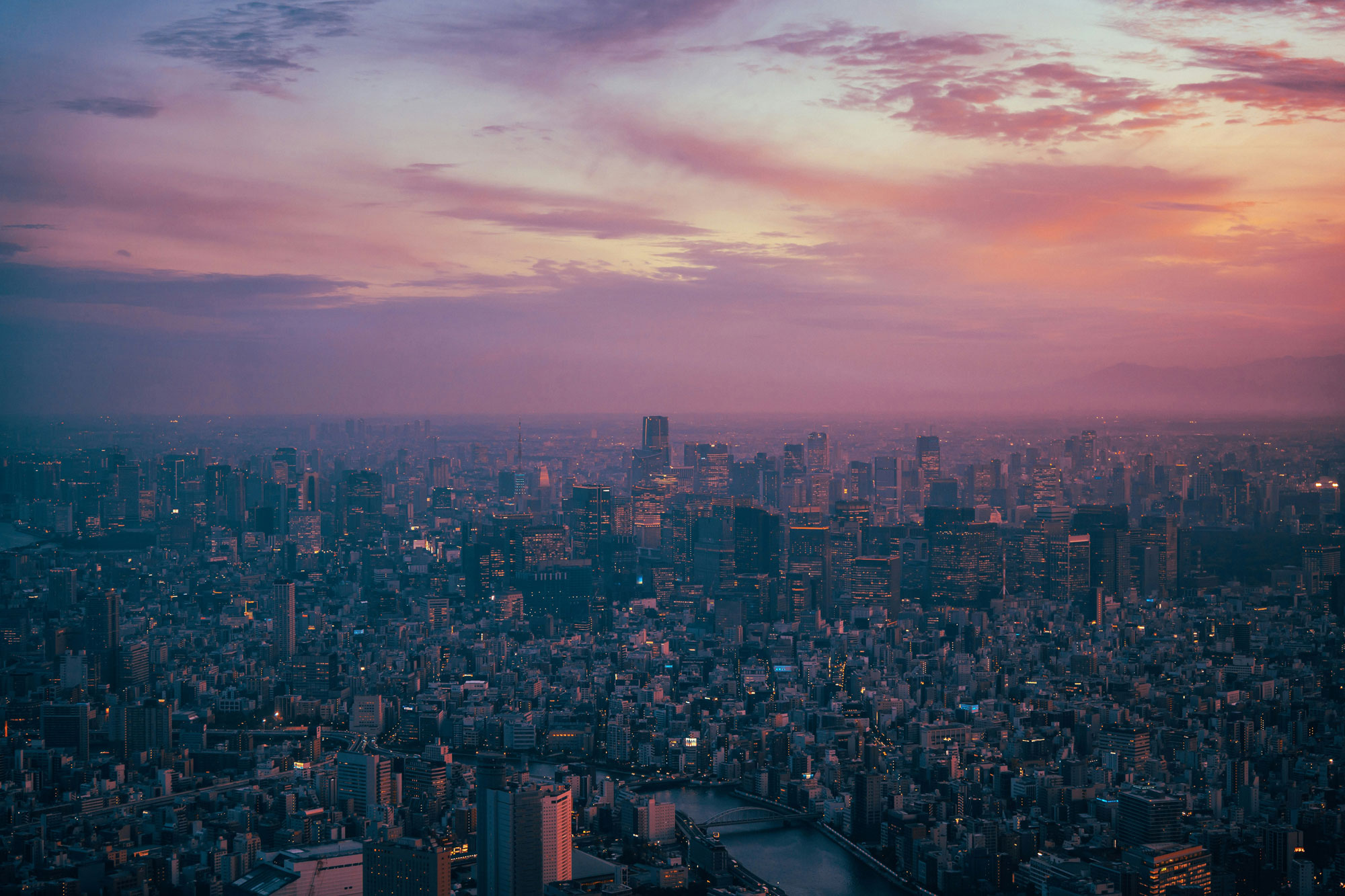 A city scape at sunset, showing the pink sky with hues of yellow